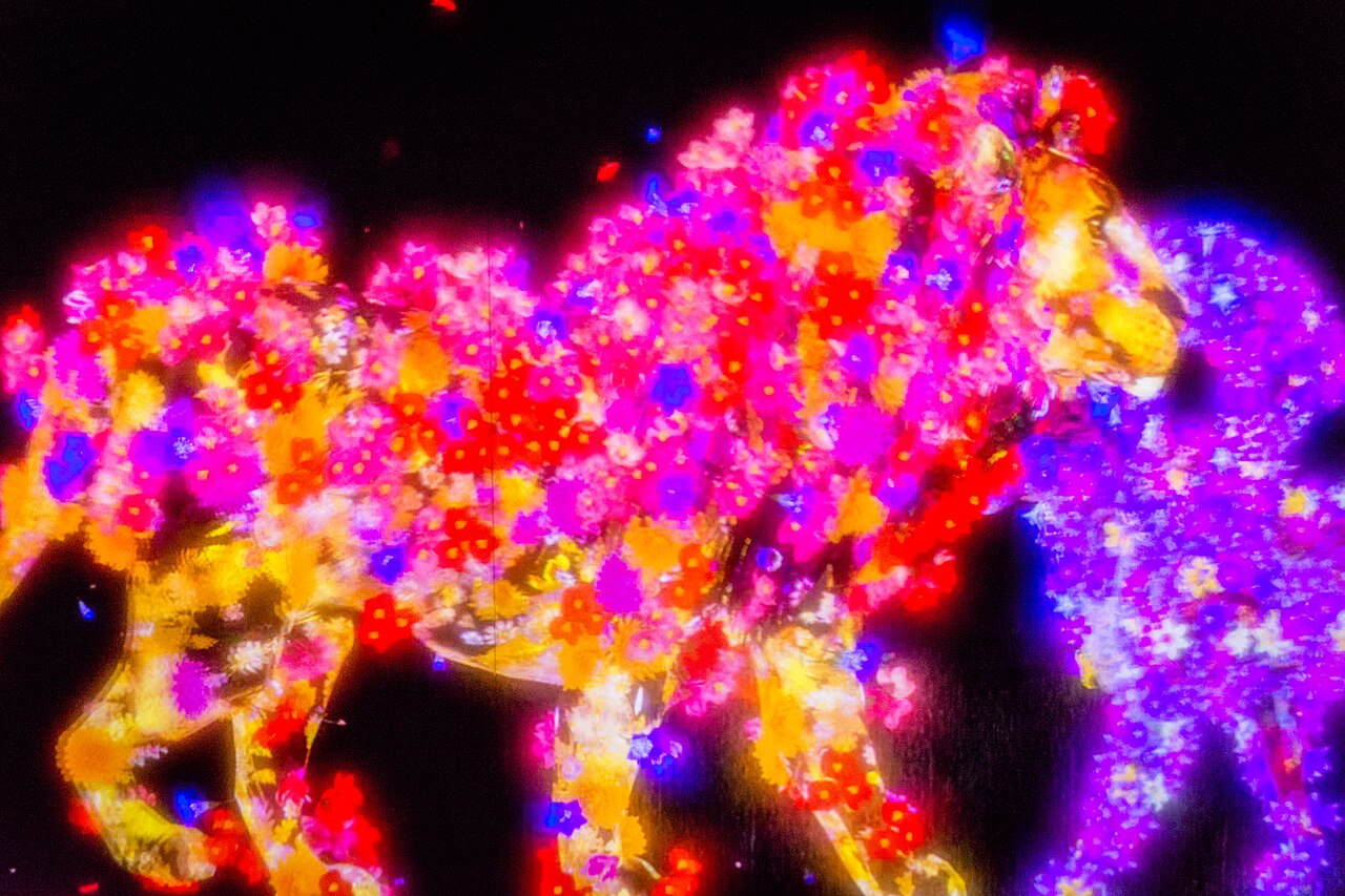 teamLab Borderless: MORI Building DIGITAL ART MUSEUM