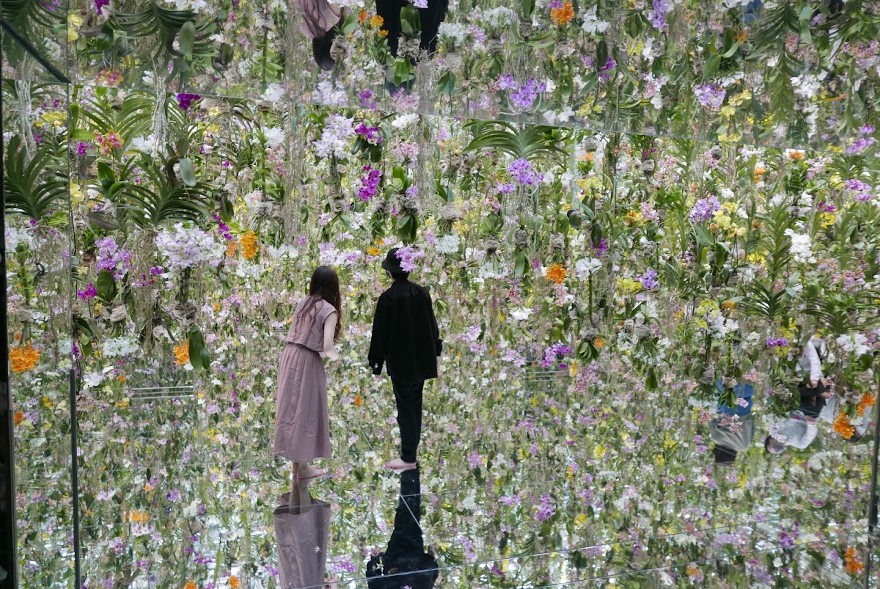 teamLab Planets TOKYO, Toyosu